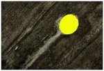 fat old sun