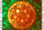 pi-art-money 2006-002