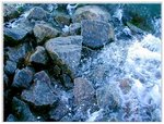 rocks and a wet place