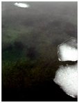 sea-bottom with ice